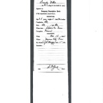 When my Great-great-great grandfather Sandy Wills risked life and limb by fleeing his slave plantation in Haywood County, Tennessee, he stood before an enlistment officer at an army installation in 1863 and defiantly stated his independence.  Because he was illiterate, like most slaves, he didn’t realize they misspelled his last name “Willis”. I’m very proud that for occupation, Sandy is listed as a farmer – my Great-great-great was a revolutionary from the start: he was legally a slave – but in his heart he was already a free man!